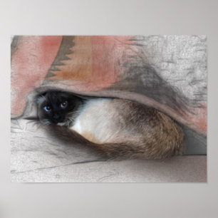 Niedliche siamesische Kätzchen unter einer Decke Poster