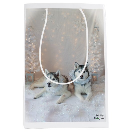 Niedliche sibirische Huskies-Geschenktasche Mittlere Geschenktüte (Vorderseite)