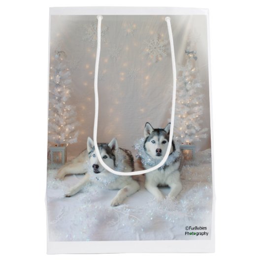 Niedliche sibirische Huskies-Geschenktasche Mittlere Geschenktüte (Rückseite)