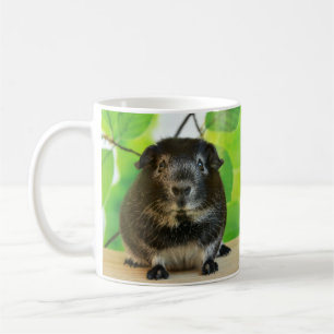 Niedliche Silver Fox Guinea Schweinefleisch und Bl Kaffeetasse