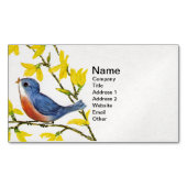 Niedliche Singing Blue Bird Tree Branch Magnetische Visitenkarte (Vorderseite)