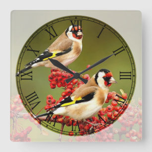 Niedliche Singvögel spielen römische Zahlen Quadratische Wanduhr