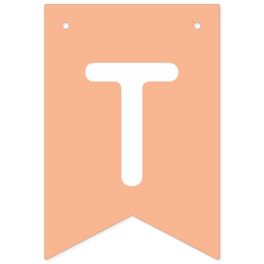 Niedliche Skulls Pastel Halloween Trick oder Trete Wimpelkette (Zweite Fahne)