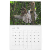 Niedliche Sloth-Bilder | Adorable Sloth Fotos Kalender (Mär 2026)