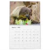 Niedliche Sloth-Bilder | Adorable Sloth Fotos Kalender (Feb 2026)