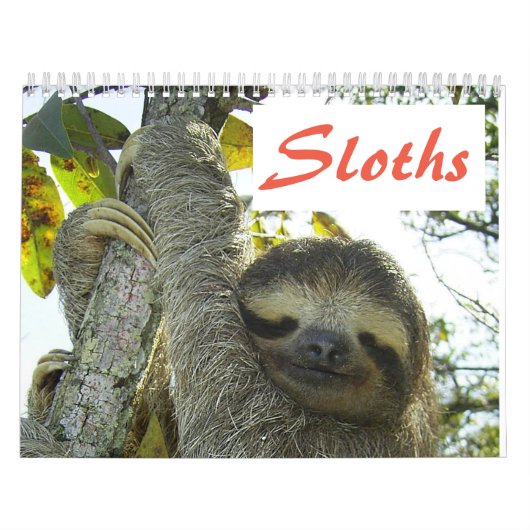 Niedliche Sloth-Bilder | Adorable Sloth Fotos Kalender (Titelbild)