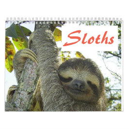Niedliche Sloth-Bilder | Adorable Sloth Fotos Kalender