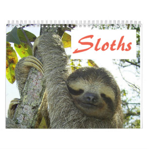 Niedliche Sloth-Bilder Adorable Sloth Fotos Kalender