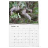 Niedliche Sloth-Bilder | Adorable Sloth Fotos Kalender (Jan 2027)