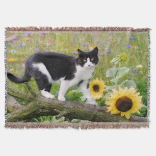 Niedliche Smoschkatze auf einem Baumzweig mit Sonn Decke