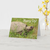 Niedliche Snack Turtle Get Well Card Karte (Gelbe Blume)