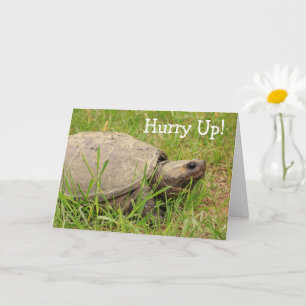 Niedliche Snack Turtle Get Well Card Karte