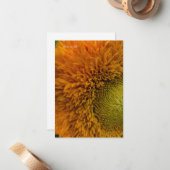 Niedliche Sonnenblume mit grüner Mitte Mitteilungskarte (Vorderseite/Rückseite Beispiel)
