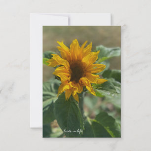 Niedliche Sonnenblume Mitteilungskarte