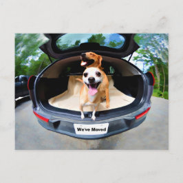 Niedliche, sonnige Hunde, die zum Autofahren gehen Postkarte