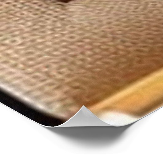 Niedliche Sphynx-Katzenkatze dunkle Farbe Poster (Ecke)