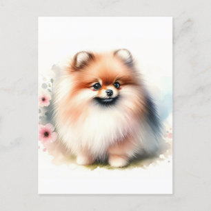 Niedliche Spitz-Aquarelldarstellung Postkarte