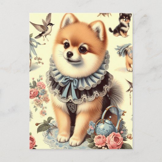 Niedliche Spitz-Malerei Postkarte (Vorderseite)