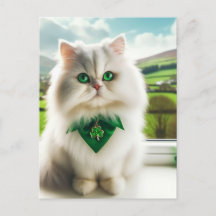 Niedliche St. Patricks Day Katze Fluffy White Cat