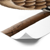 Niedliche Steampunkugel auf einer Zweigstelle in W Poster (Ecke)