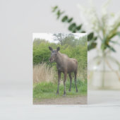 Niedliche Stehende Elch DIY Postkarte (Stehend Vorderseite)