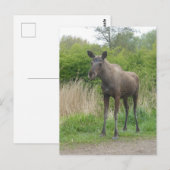 Niedliche Stehende Elch DIY Postkarte (Vorne/Hinten)