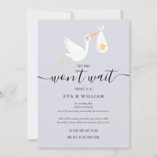 Niedliche Stork Baby Dusche Sprinkle Stornierungsk Einladung (Vorderseite)