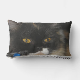 Niedliche Studentenkatze Kissen