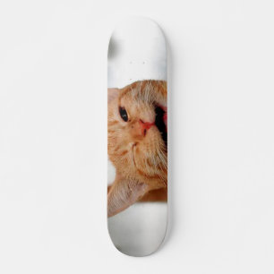 Niedliche Tabbierkatze mit einem Auge Skateboard