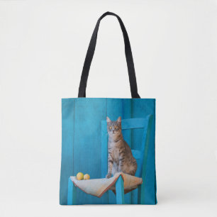 Niedliche Tabby Cat Kitten auf einem Foto mit blau Tasche