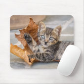Niedliche Tabby Katze Kätzchen Spielen mit Leaf Mousepad (Mit Mouse)