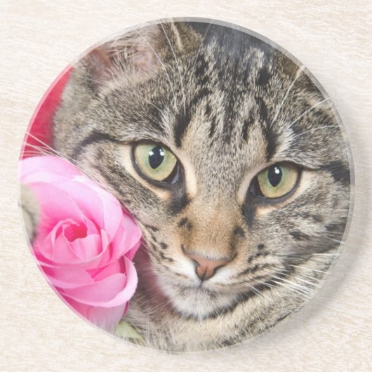 Niedliche Tabby-Katze mit Rose Getränkeuntersetzer (Vorne)