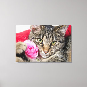 Niedliche Tabby-Katze mit Rose Leinwanddruck