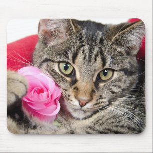 Niedliche Tabby-Katze mit Rose Mousepad