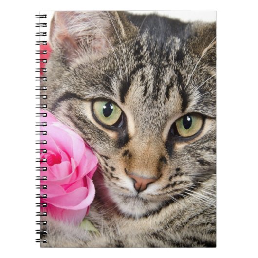 Niedliche Tabby-Katze mit Rose Notizblock (Vorderseite)