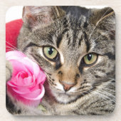 Niedliche Tabby-Katze mit Rose Untersetzer (Vorderseite)