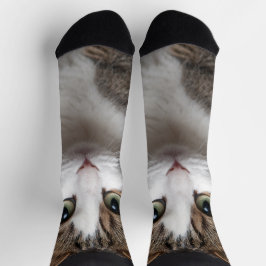 Niedliche Tabby Katze Personalisiertes Foto für Ha Socken