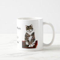 Niedliche Tabby-Katzen sind willkommen