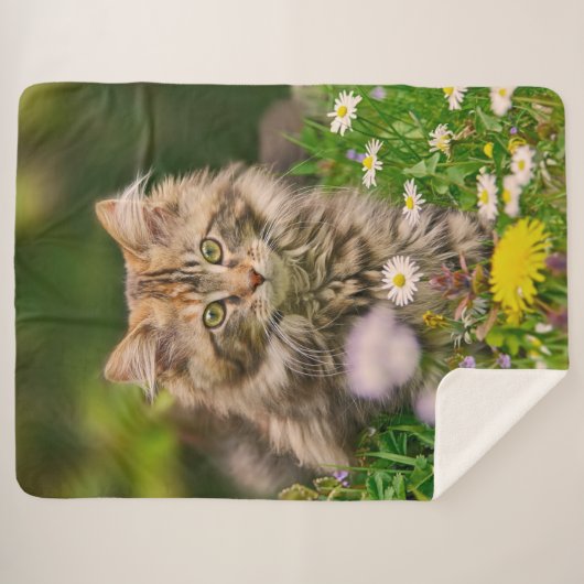 Niedliche Tabby Maine Coon Kitten Cat Animal Head Sherpadecke (Vorderseite (Horizontal))