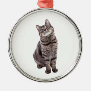 Niedliche Tablettenkatze Ornament Aus Metall