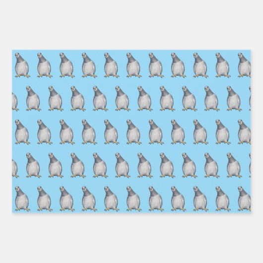 Niedliche Tauben Geschenkpapier Set (Vorderseite)
