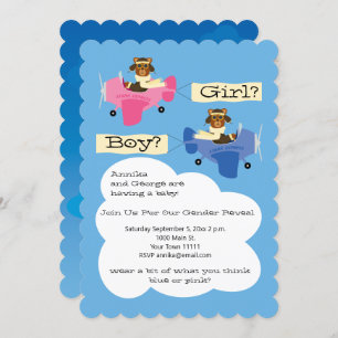 Niedliche Teddy Bären Piloten Flugzeug Geschlecht  Einladung