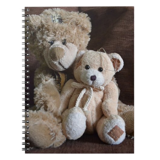 Niedliche Teddy Bears Notizblock (Vorderseite)