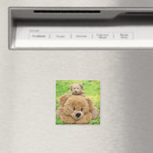 Niedliche Teddybären auf der Wiese Magnet (In Situ (Geschirrspüler))