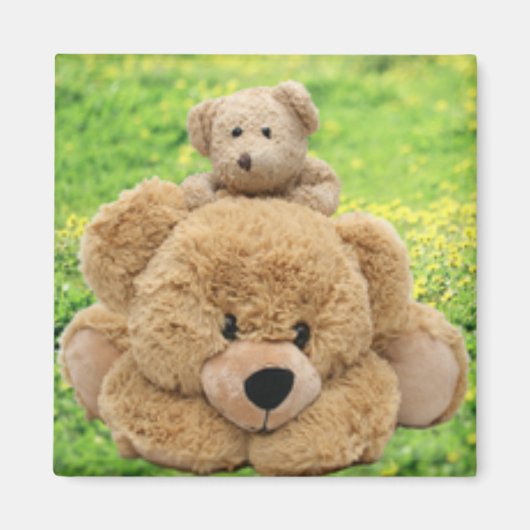 Niedliche Teddybären auf der Wiese Magnet (Vorne)
