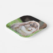 Niedliche Teller aus Kaninchenpapier (Gewinkelt)