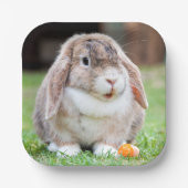 Niedliche Teller aus Kaninchenpapier (Vorderseite)