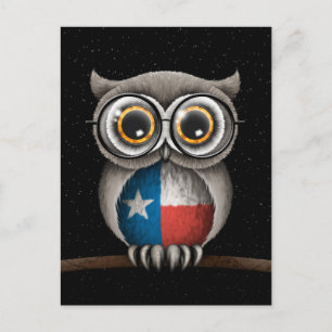 Niedliche Texas Flag Owl mit Brille Postkarte