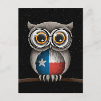Niedliche Texas Flag Owl mit Brille Postkarte