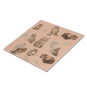 NIEDLICHE TIERE/KATZ- UND MAUSGESCHÄFTE IN PINK FLIESE (Seite)